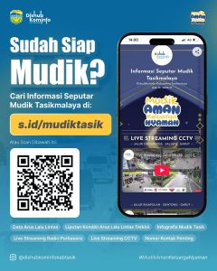 Info Mudik 2025